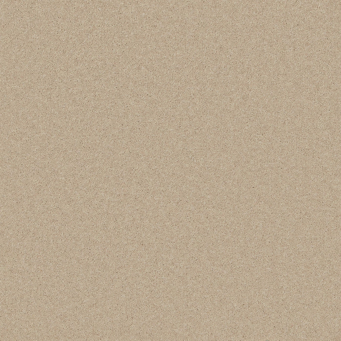 Cream / 4m / Action