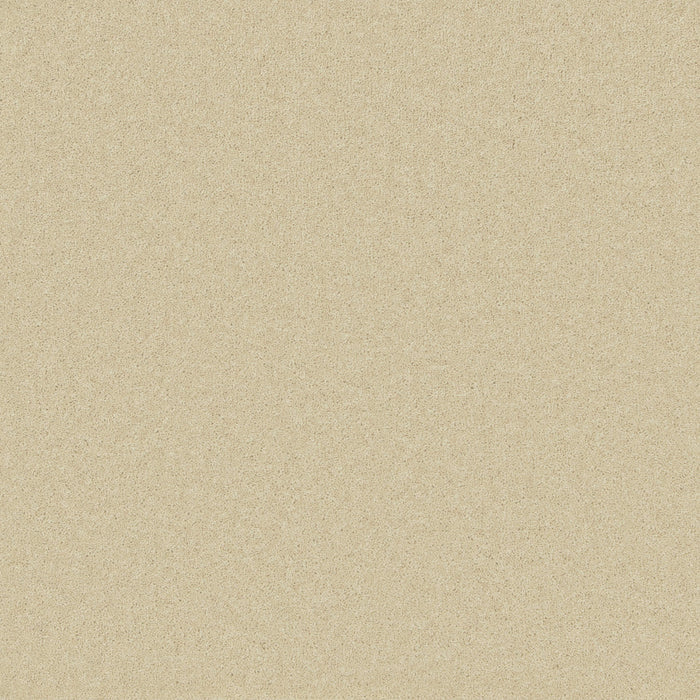 Cotton / 4m / Action