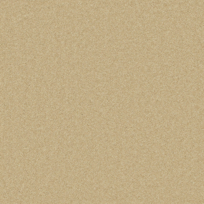 Sand / 4m / Action