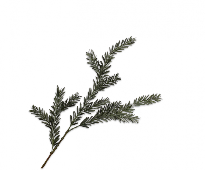 PINE SPRAY GRN DK 112CM