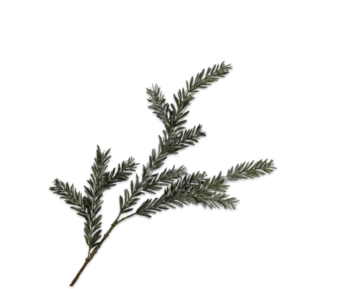 PINE SPRAY GRN DK 112CM