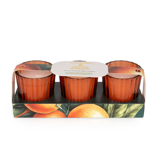 Set of 3 Votives - Mandarin & Orange Blossom 6PK
