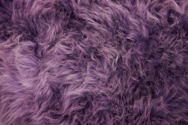 Small / Purple