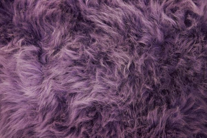 Small / Purple