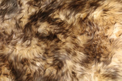 Small / Light Red Fox
