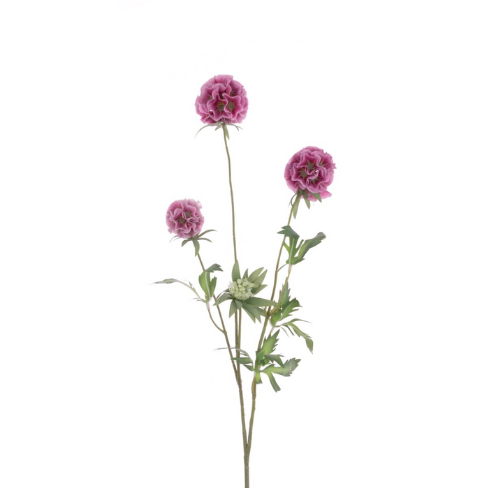 SILK SCABIOSA STELLATA SPRAY 73CM