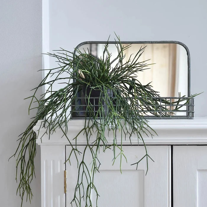 Small Mirror With Wire Shelf
