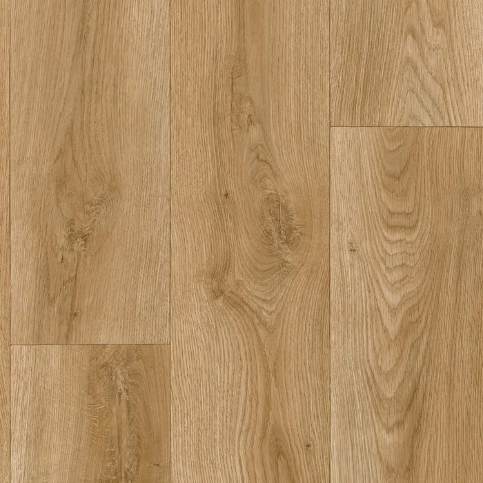 Warm Oak