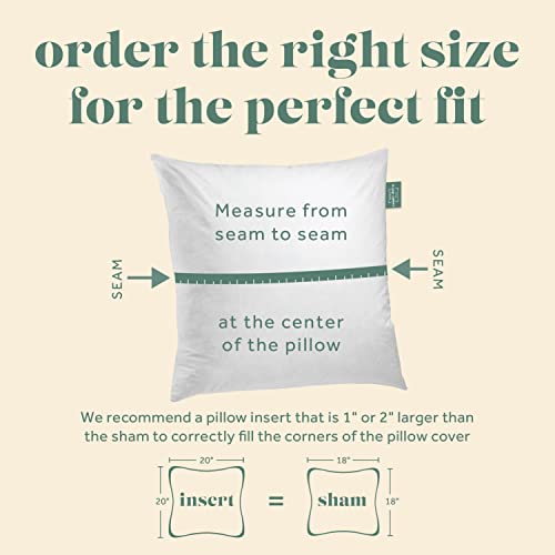 Square Decorative Pillow Insert - 95% Feather 5% Down - by ComfyDown