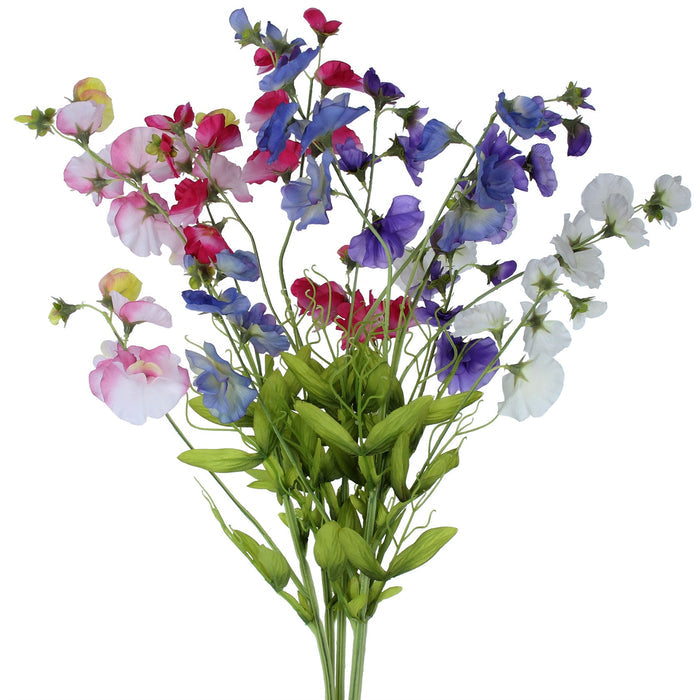 Sweet Pea Stem